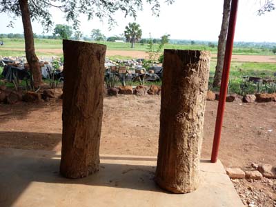 Rattan hives made by the orphans.